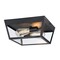 Westinghouse Fixture Ceiling Outdr Flush-Mount 60W 2-Light Peterson 12In Txt, Black Clear Glass 6121900 - alternate 3